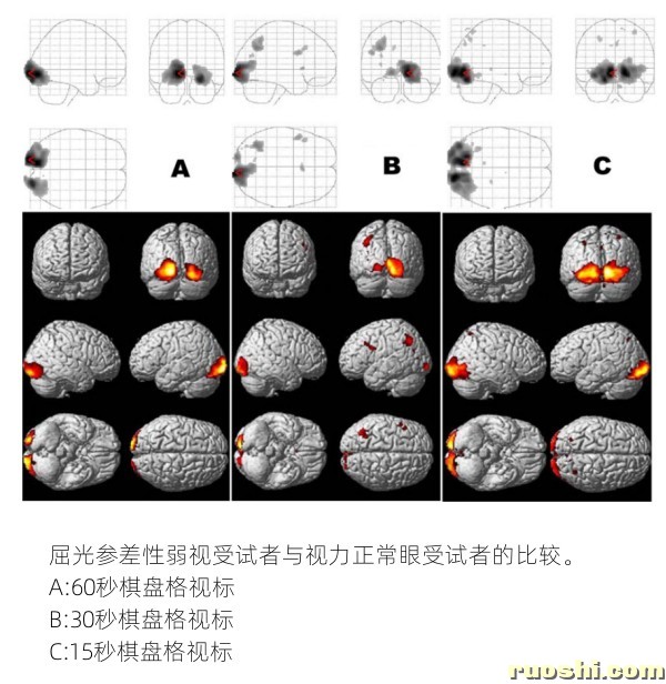 实验结果图示